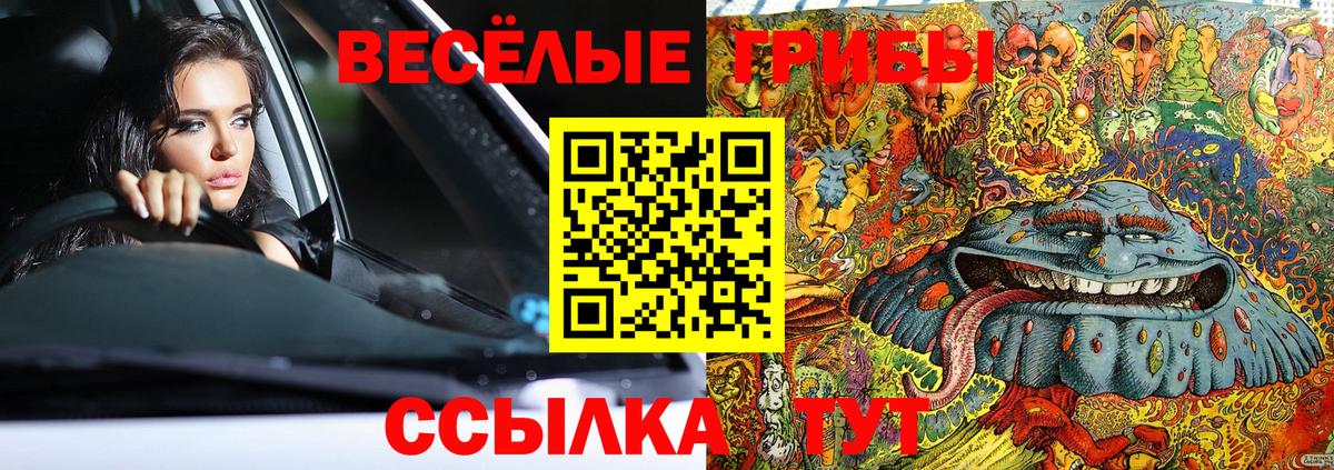 Галлюциногенные грибы Psilocybe Белорецк