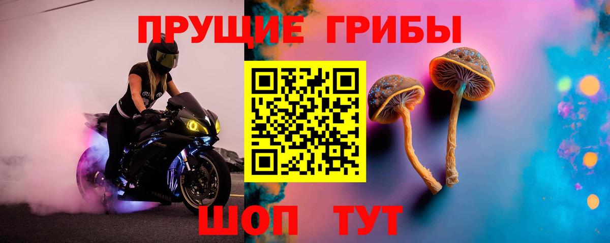 Белорецк  Галлюциногенные грибы Psilocybine cubensis  купить  сайты  Вход с VPN 